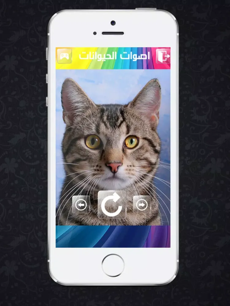Zrzuty ekranu اصوات الحيوانات للاطفال iPad 