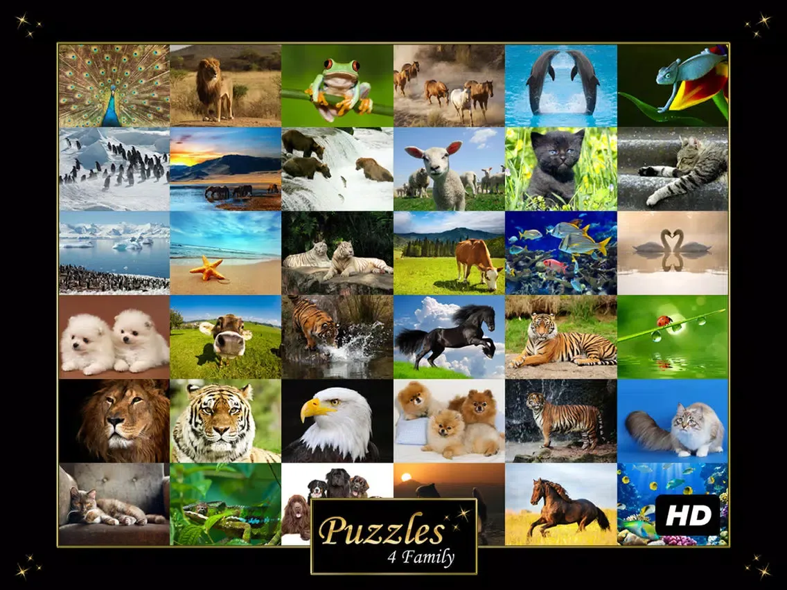 Animals - Jigsaw and Sliding Puzzles iPad  سکرین شاٹس