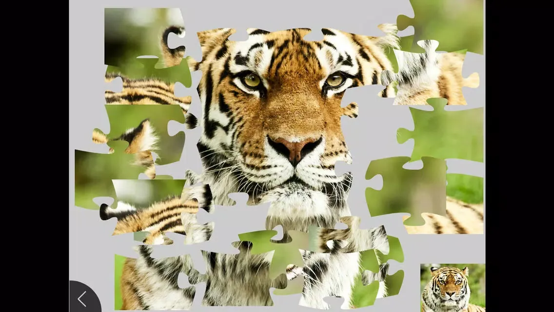 Animals - Jigsaw and Sliding Puzzles سکرین شاٹس