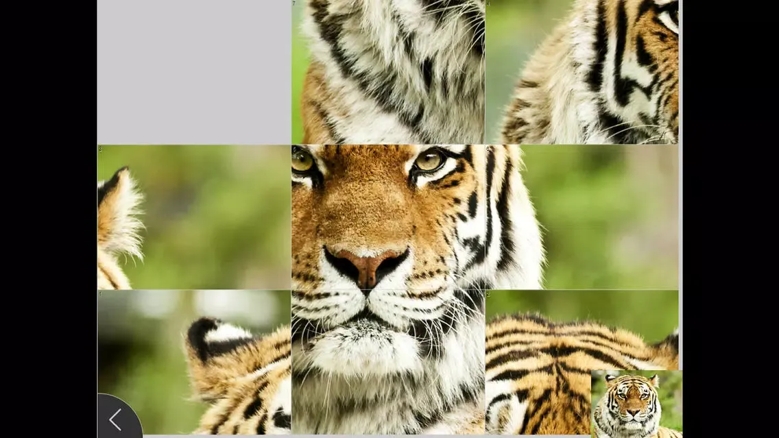 Animals - Jigsaw and Sliding Puzzles سکرین شاٹس