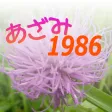 あざみ１９８６