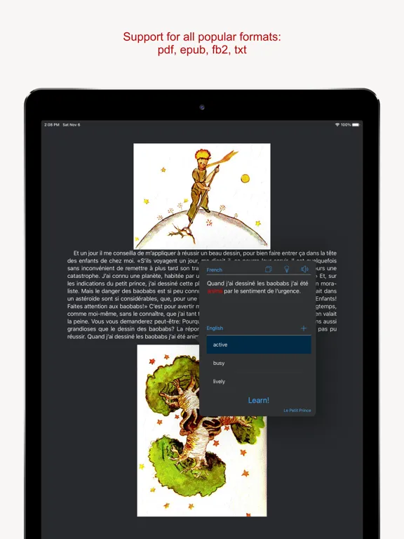 Tangkapan layar Read and Learn iPad 