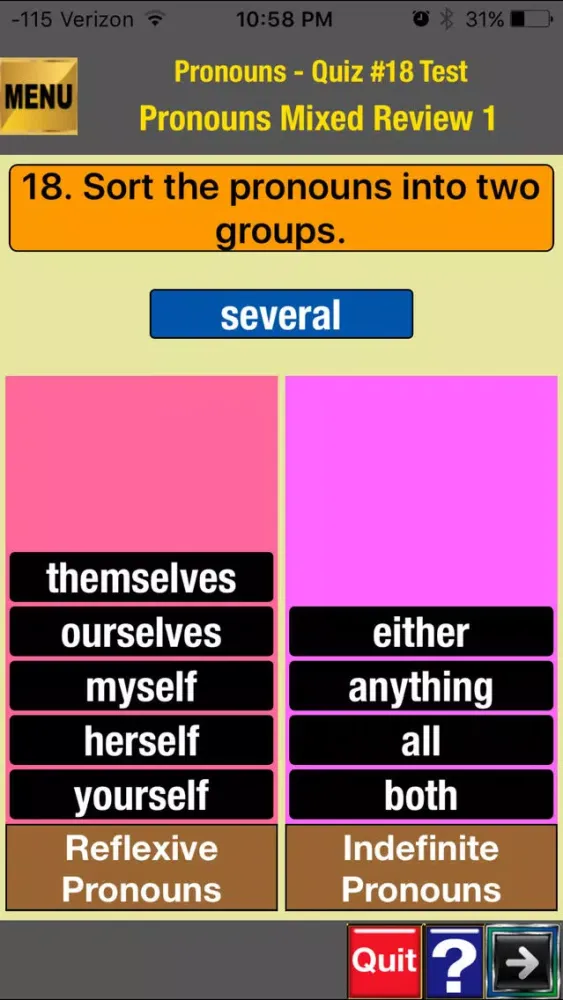 easyLearn Pronouns in English Grammar سکرین شاٹس