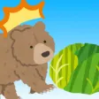 CabbageBear CabbageBear