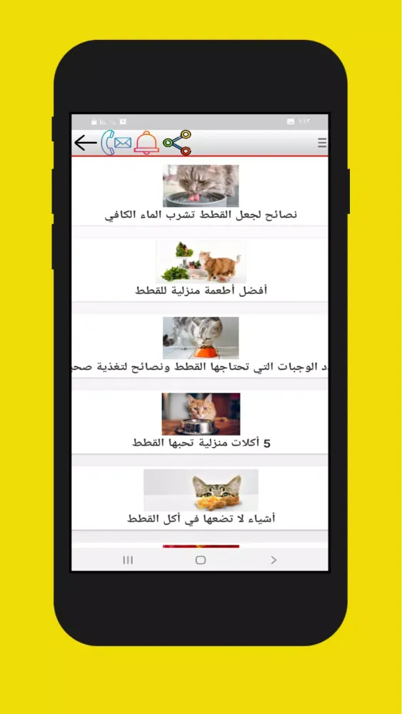 Tangkapan layar قطتي كات - تربية القطط