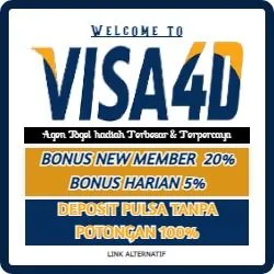 VISA4D スクリーンショット