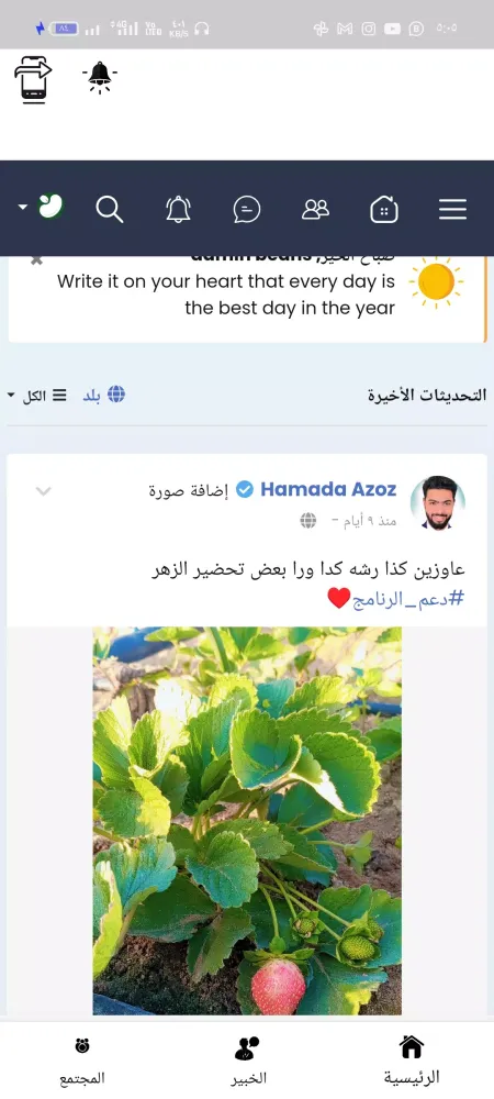 Screenshot di خبراء ومزارعين الفراولة