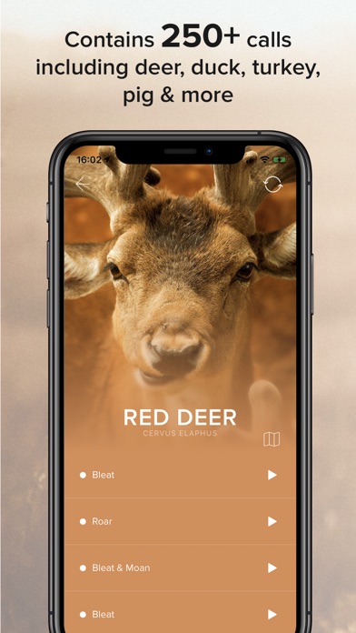 ภาพหน้าจอของ Game Calls