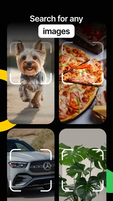 Скриншоты Lens Photo Scanner・Identifier