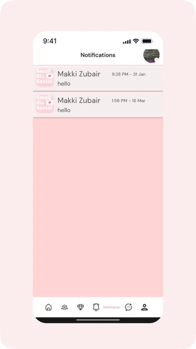 Small Bizz Social 스크린샷