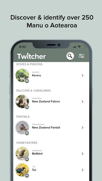 Twitcher: NZ Bird Watching App应用截图