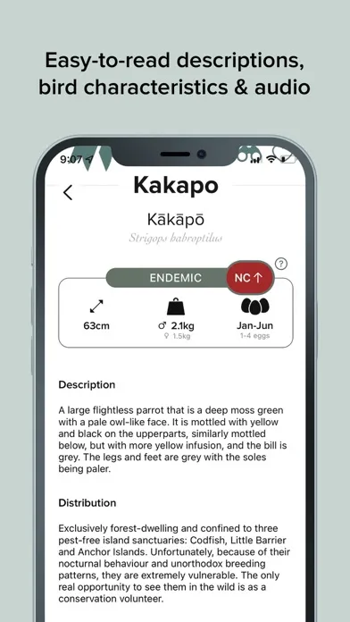Twitcher: NZ Bird Watching App Screenshots