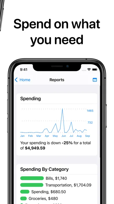 Screenshot di OpenBudget - Budget and Save
