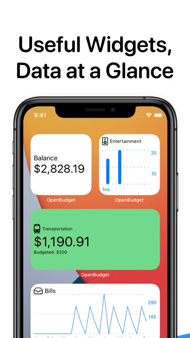 Screenshot di OpenBudget - Budget and Save