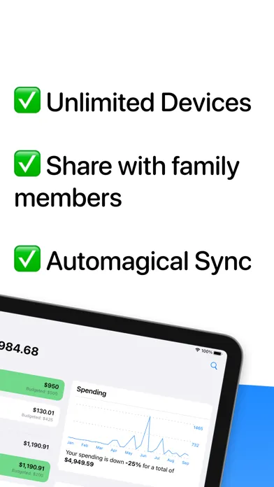 Screenshot di OpenBudget - Budget and Save