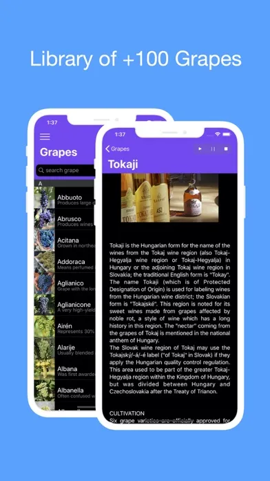 Tangkapan layar Winebook Pro