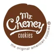 Mr Cheney Mr Cheney