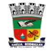 Câmara Amélia Rodrigues BA