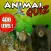 Animal Quiz - Free Trivia Game about cats, dogs, horses and many more animals for kids and families