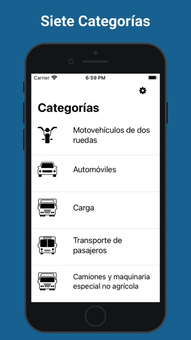 Examen de conducir Argentina স্ক্রিনশট