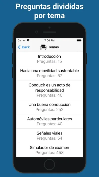 Screenshot di Examen de conducir Argentina