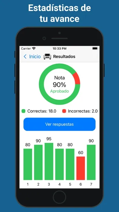 Screenshot di Examen de conducir Argentina