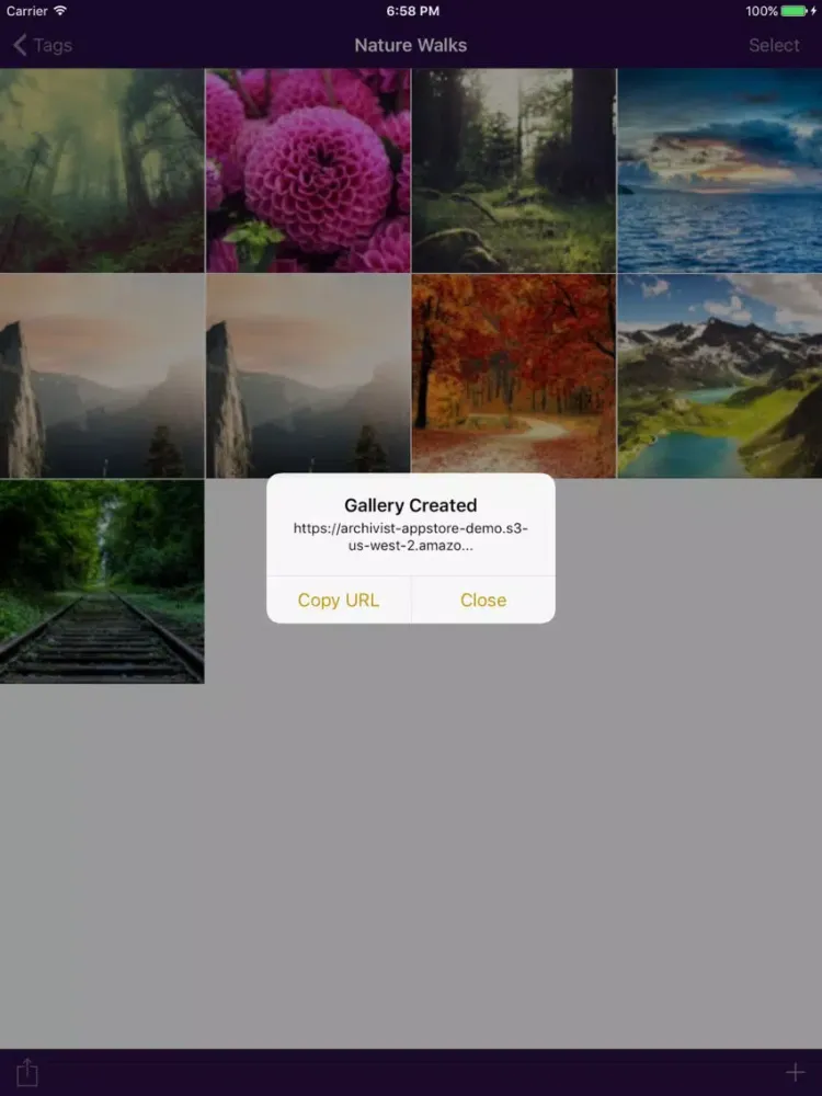 Archivist iPad  Screenshots