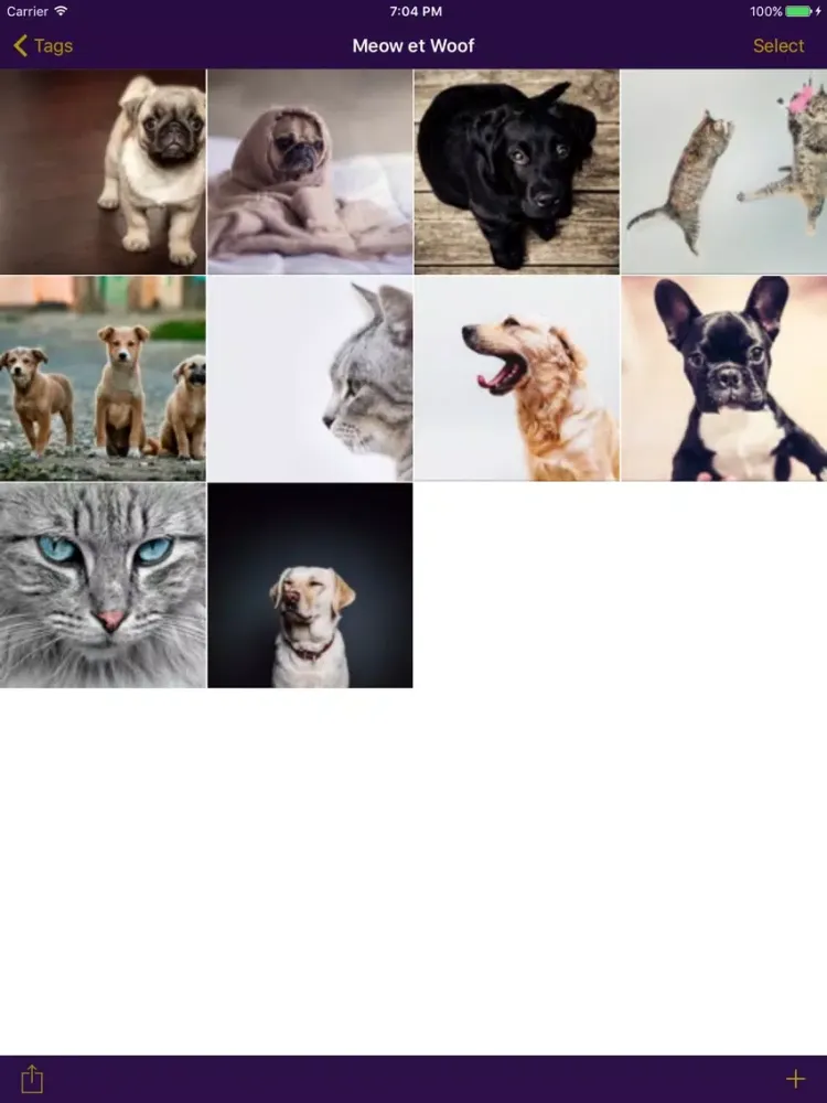 Archivist iPad  Screenshots