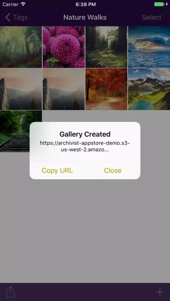Archivist Screenshots
