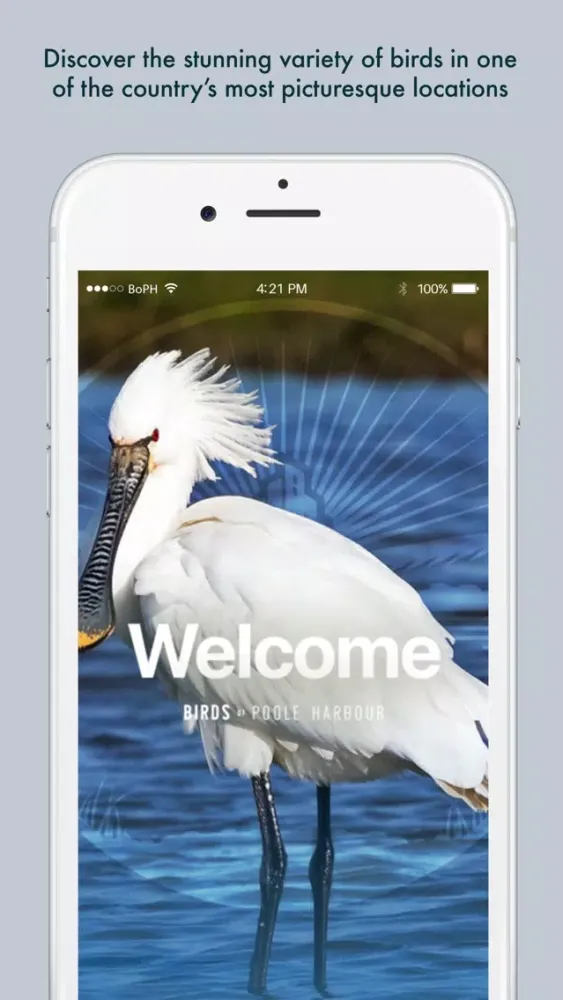 Capturas de tela do Birds of Poole Harbour