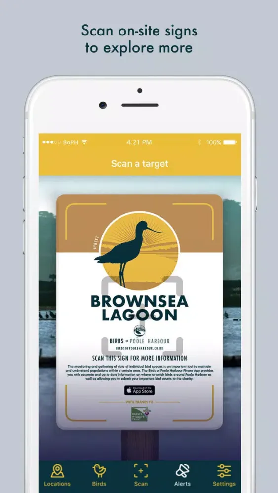 Capturas de tela do Birds of Poole Harbour