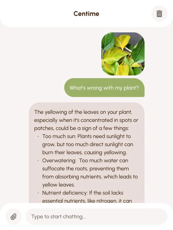 Centime: Ask AI Anything iPad  Screenshots