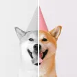 Colourr – colorize B&W photos Colourr – colorize B&W photos