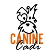 Canine Cadi Canine Cadi