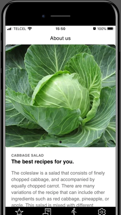 Cabbage Salad Recipes স্ক্রিনশট