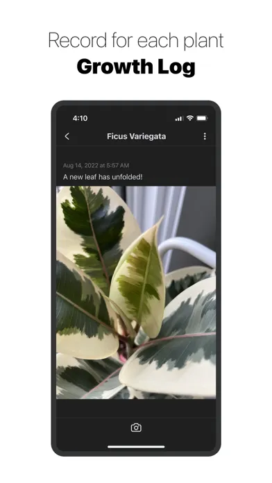 Plant Family - Water Reminder Screenshots