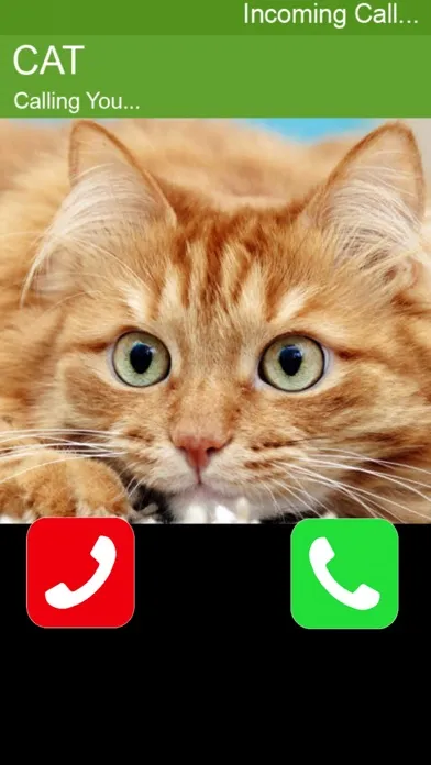 Call Cat 2應用截圖