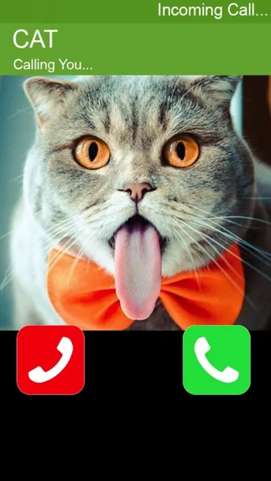 Call Cat 2應用截圖