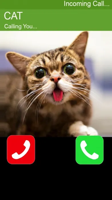 Call Cat 2應用截圖