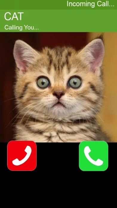 Call Cat 2應用截圖