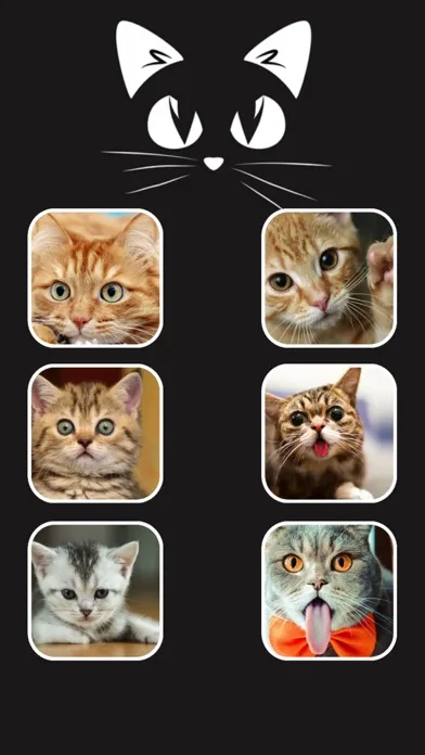 Call Cat 2應用截圖