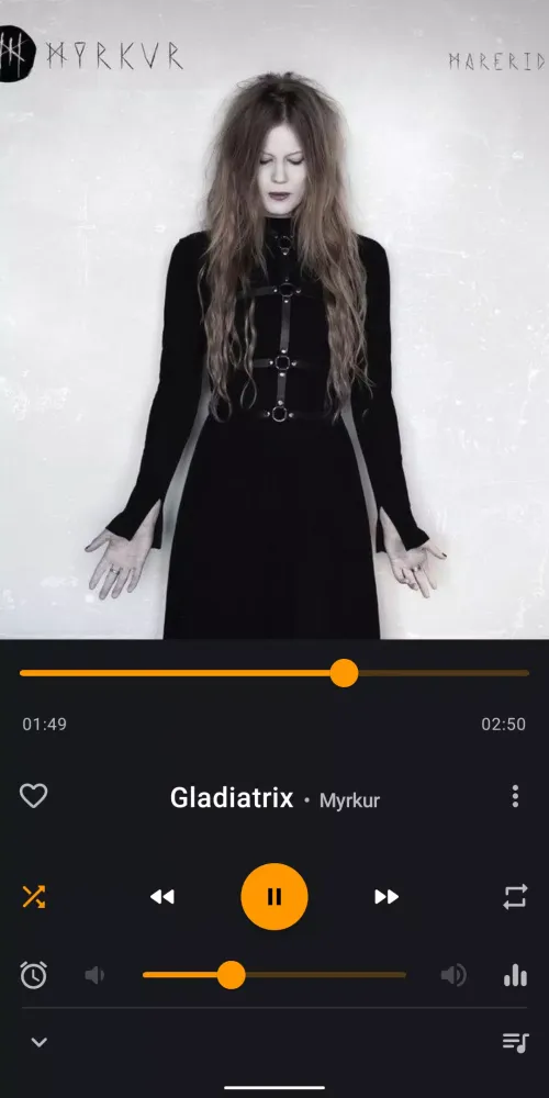 DK Music Player Screenshots