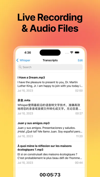 Whisper Transcribe - Dictation Screenshots