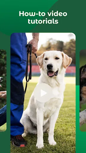 Dogo — Puppy and Dog Training Screenshots