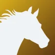 Horse Riding Tracker & Journal