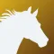 Horse Riding Tracker & Journal
