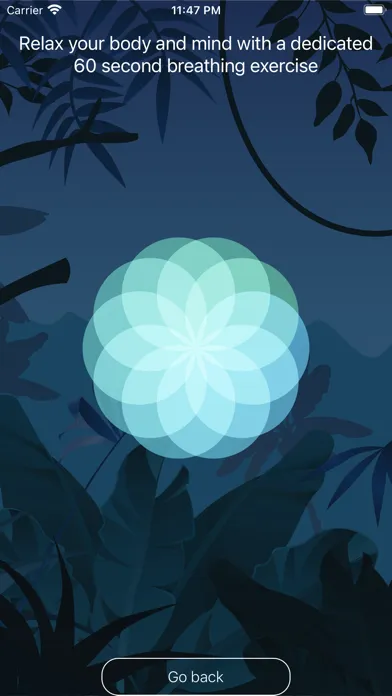 Naturefulness Relaxing Sounds سکرین شاٹس