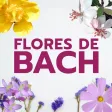 Flores de Bach