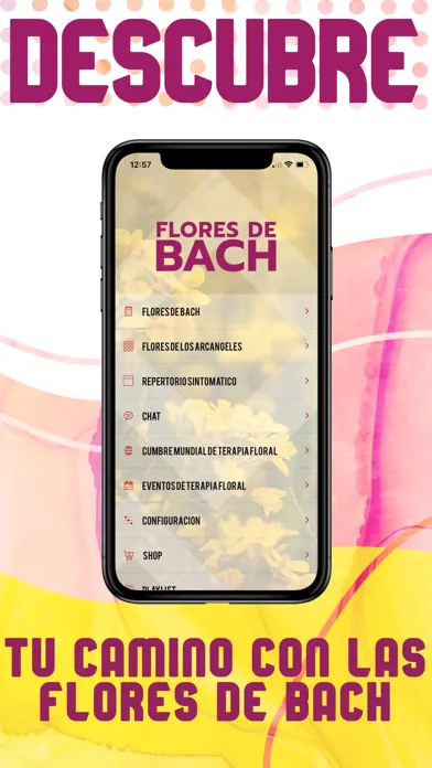 Скриншоты Flores de Bach