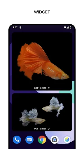 1Gallery: Encrypted Photos应用截图